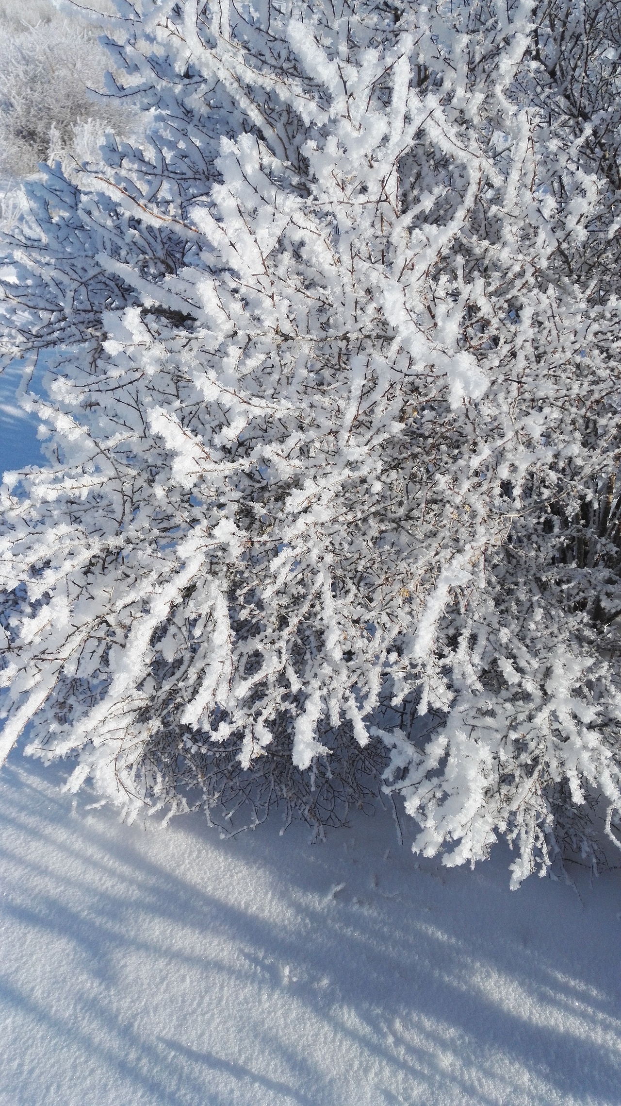 雪景（图ZNzEwMjk2NTY=） - 风光摄影 - 站酷设计师txxuid原创素材 - 站酷ZCOOL