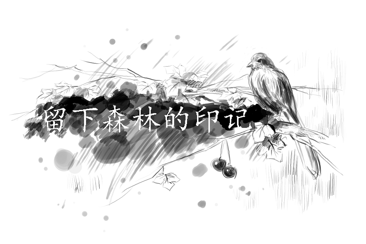 留下森林的印记——谭木匠主题木刻刀（图ZNzgxOTc5NDg=） - 生活用品 - 站酷设计师乘着歌声的翅膀原创素材 - 站酷ZCOOL