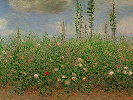 #AI創(chuàng)作實驗室#植物破碎繁殖