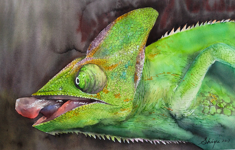 水彩 变色龙