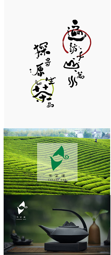 茶（图ZMjM3NjI4OTc2） - 品牌 - 站酷设计师carol0926原创素材 - 站酷ZCOOL