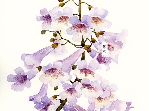 《八公分的时光》部分插图