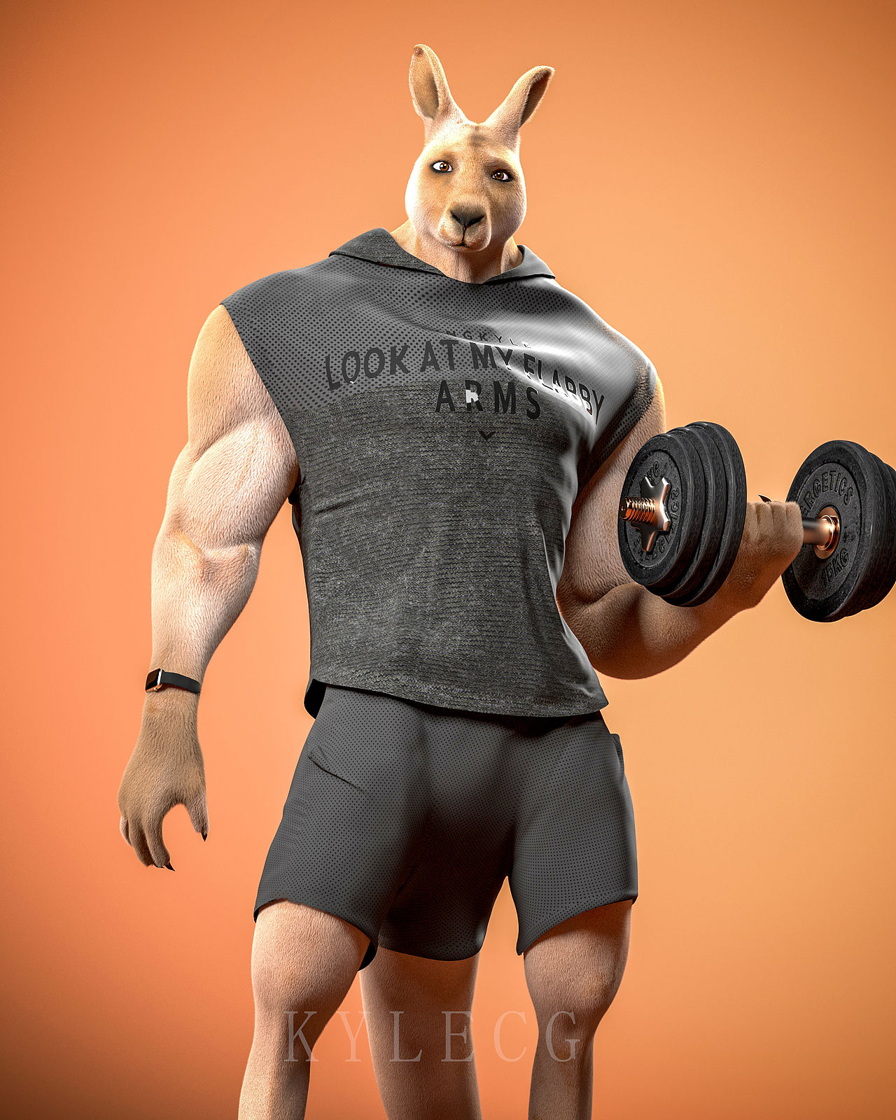 健身教练袋鼠KIM