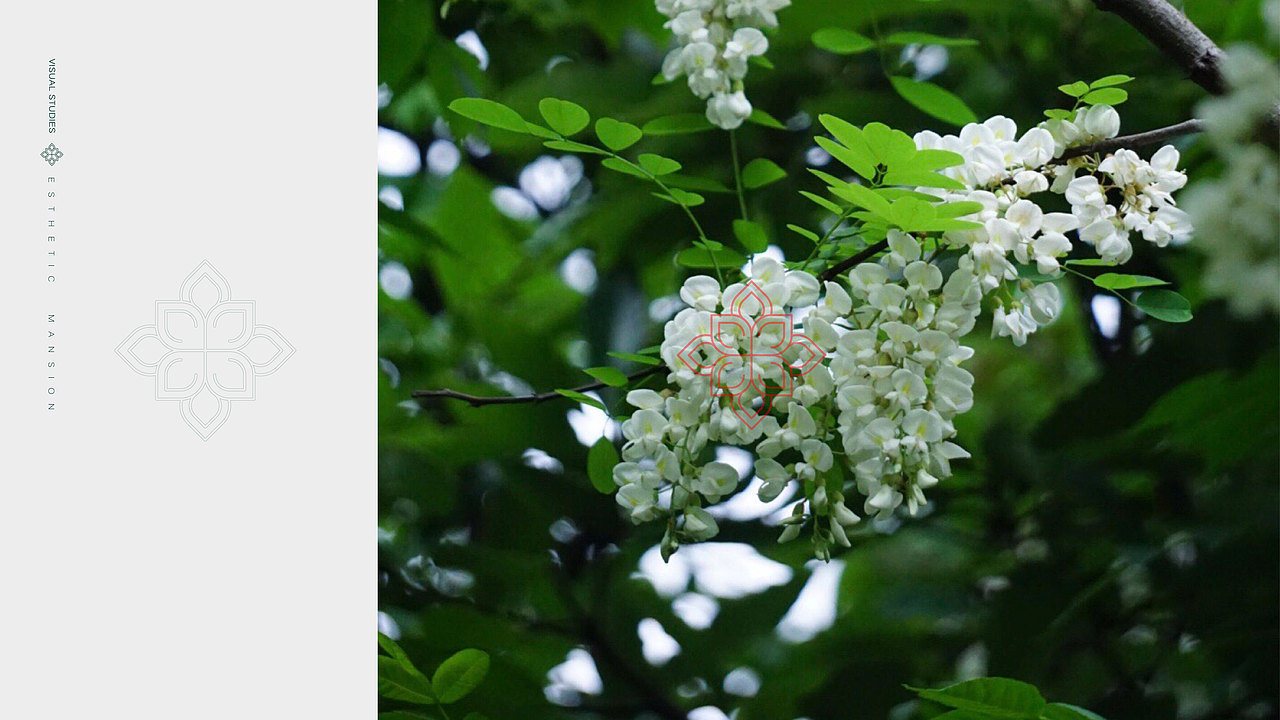 Zzzzzz-t丨设计-中车铁建-花语堂VI提报（图ZMTc0NzcwOTA4） - Logo - 站酷设计师ChengRadio原创素材 - 站酷ZCOOL