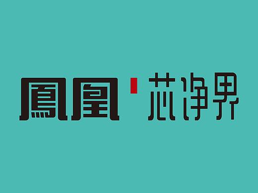凤凰芯净界滤清器