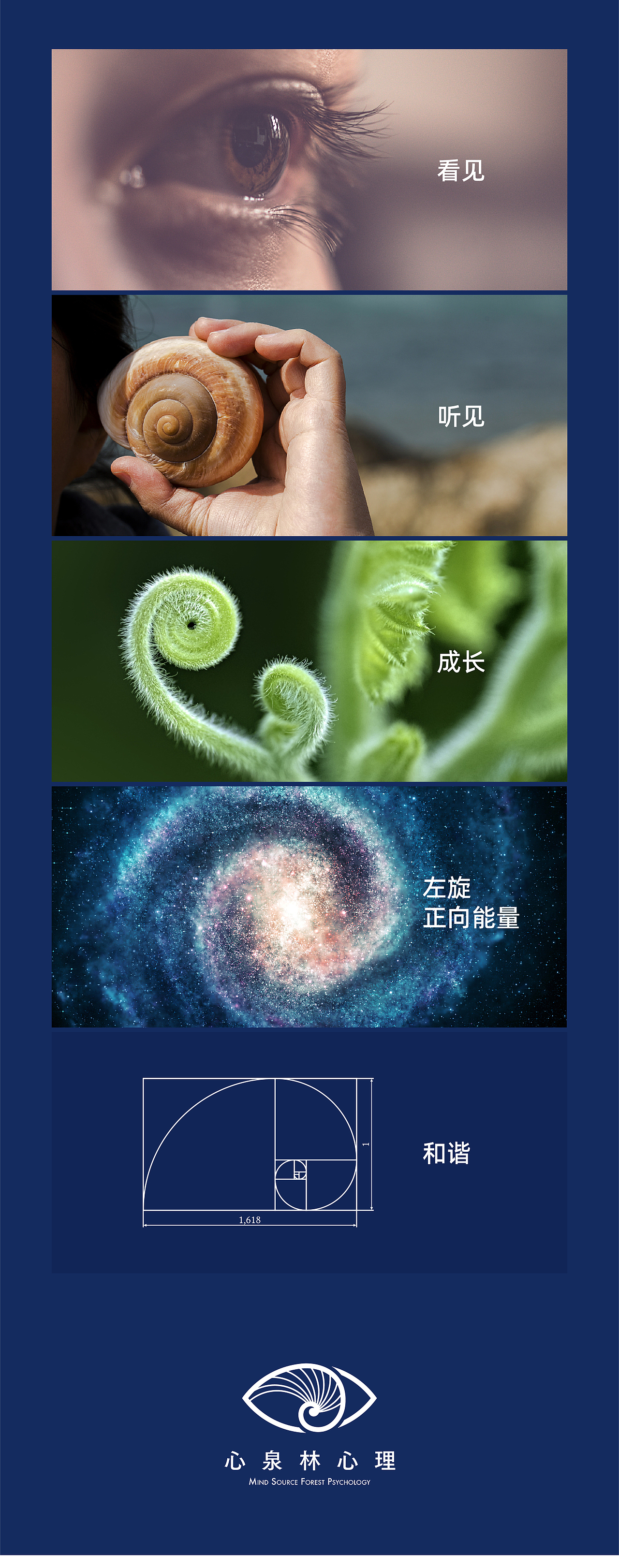 心泉林心理（图ZMzMyODYyMjcy） - 品牌 - 站酷设计师曲振宇原创素材 - 站酷ZCOOL
