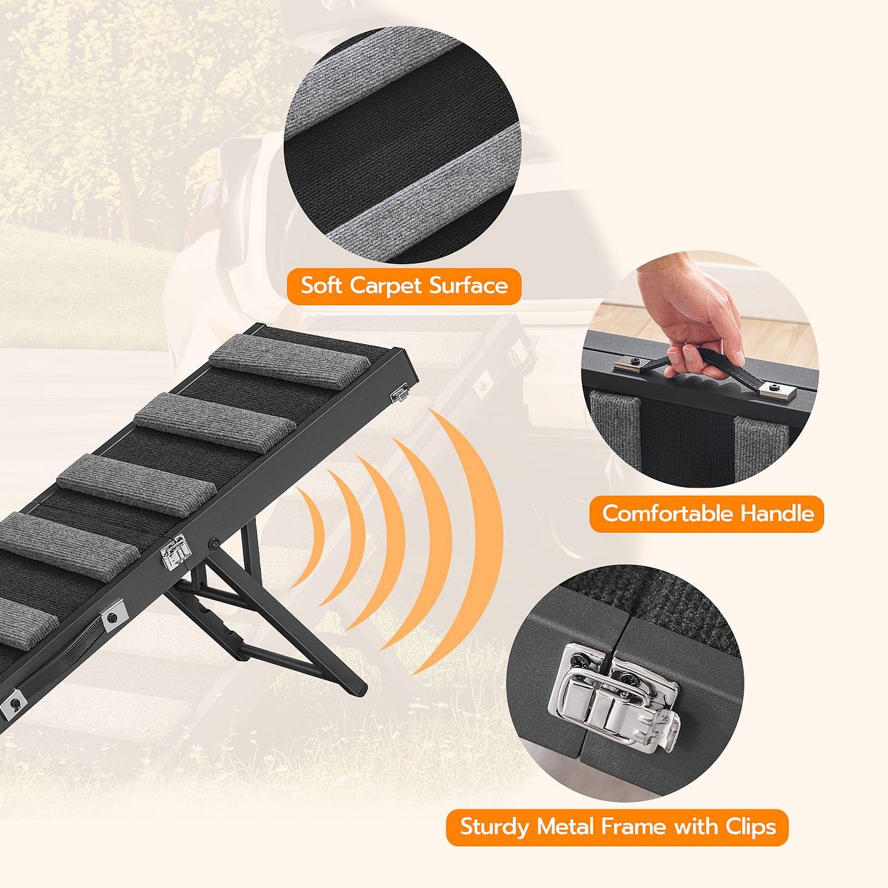 狗爬梯拍摄 精选 排版