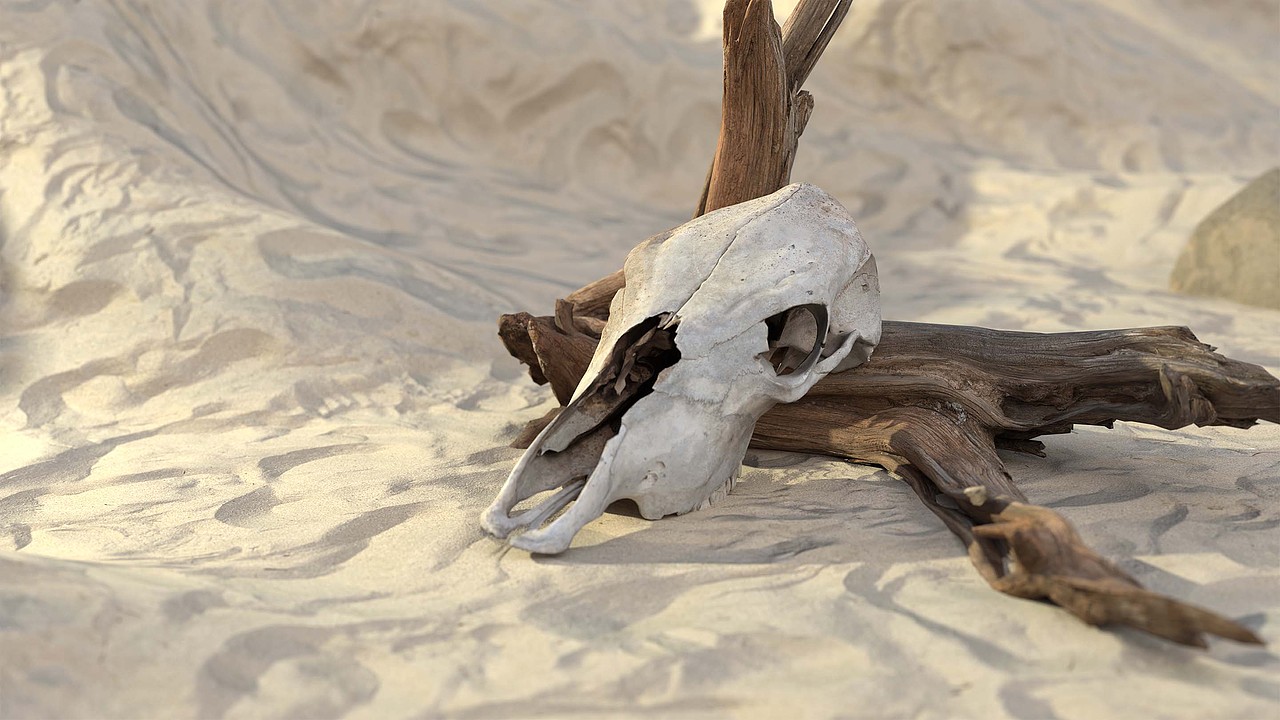 渲染练习（图ZMzU4NDQ4NDU2） - 其他三维 - 站酷设计师老路卖瓜原创素材 - 站酷ZCOOL