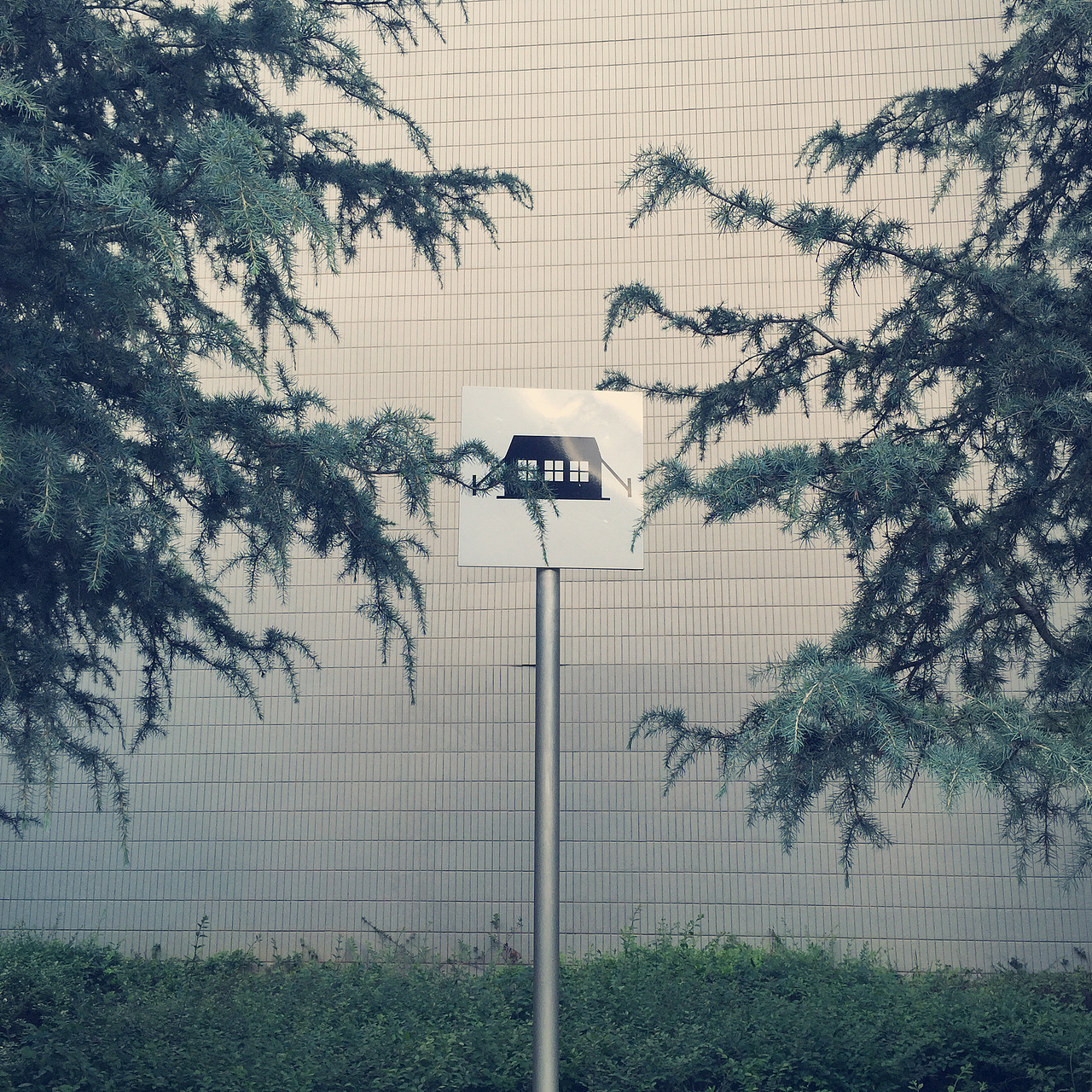 手机随手拍2--夏天啊