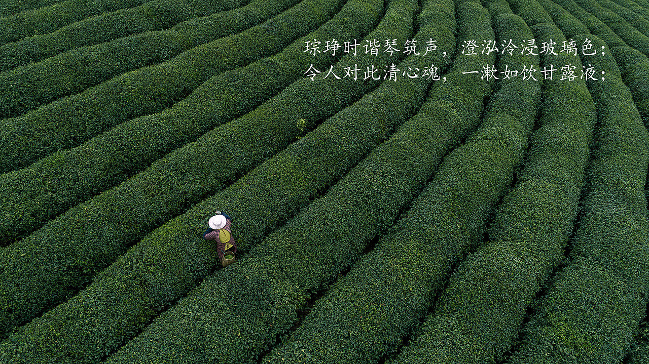 一杯人间甘露【御茶】之包装设计