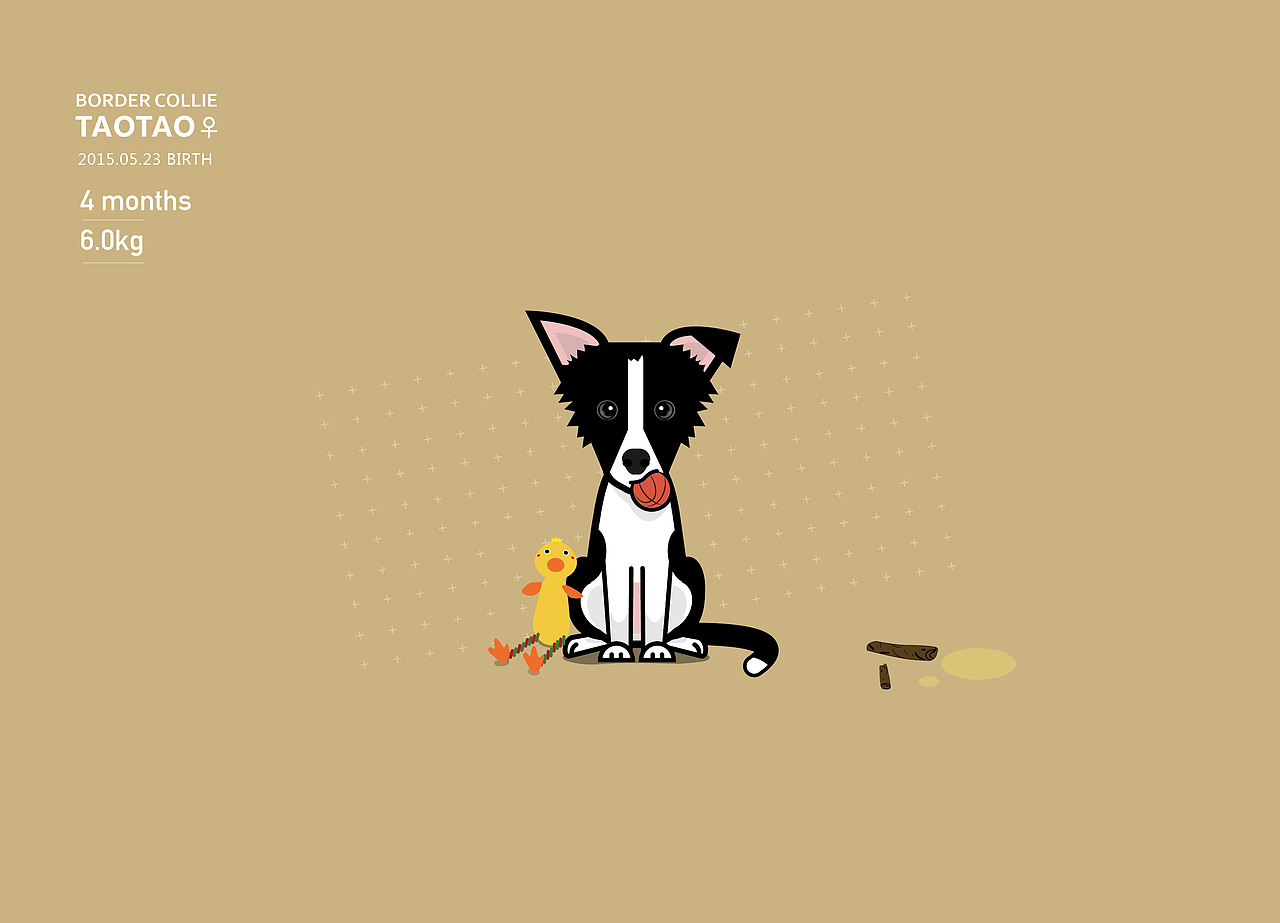 家有淘淘（壹）（图ZMzgzODM3MTY=） - 创作习作 - 站酷设计师有真原创素材 - 站酷ZCOOL