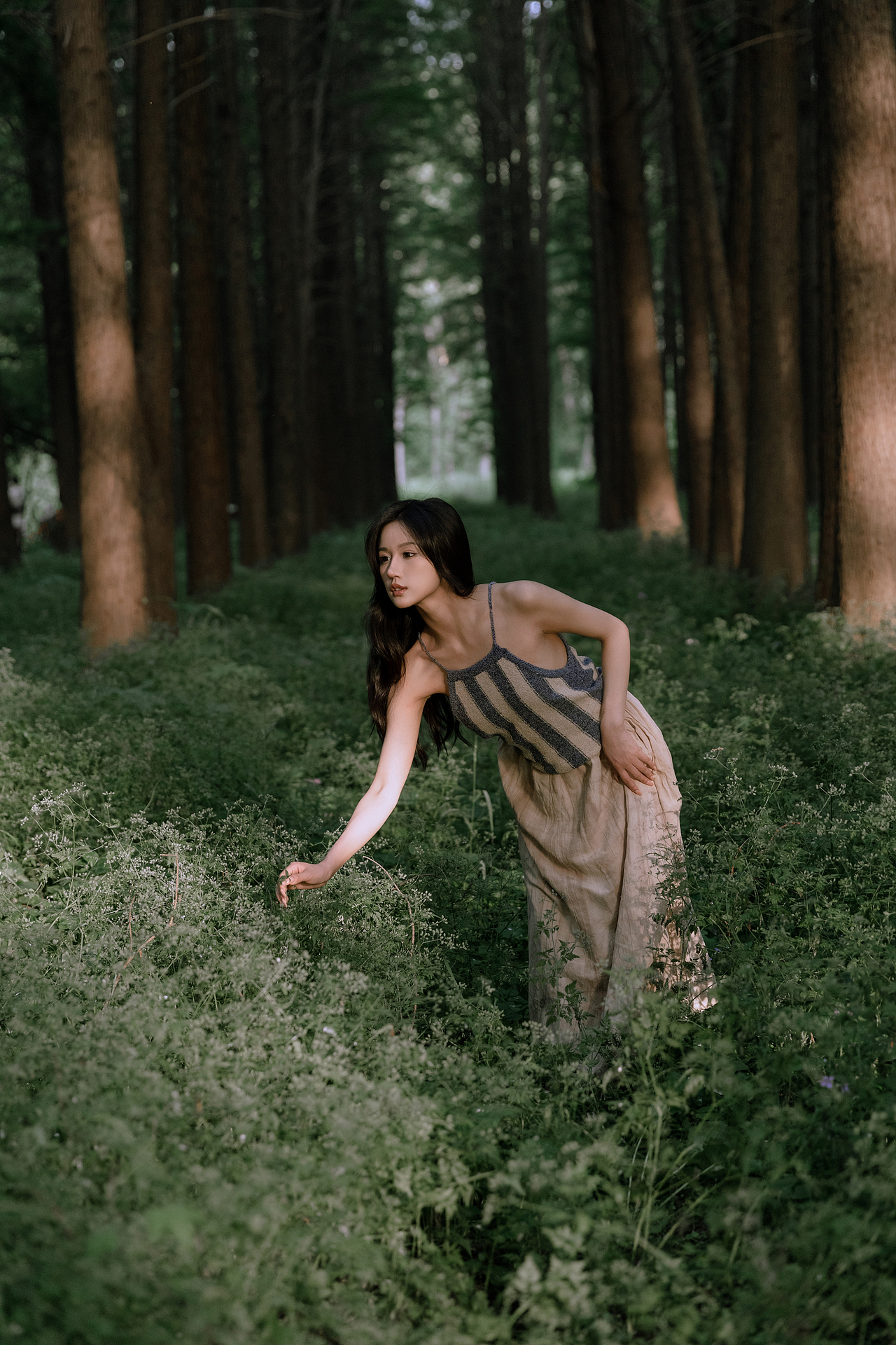 漫步水杉林（图ZMzQwNTg0OTgw） - 人像摄影 - 站酷设计师茶底zzz原创素材 - 站酷ZCOOL