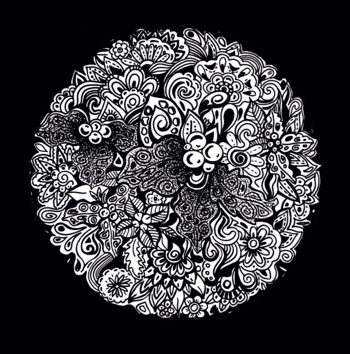 黑白花卉|纯艺术|绘画|BIANXIAOROU - 原创作品 - 站酷 (ZCOOL)
