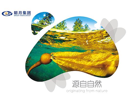 一组企业文化展板设计