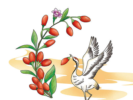 枸杞，菊花 玫瑰