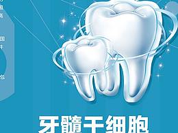 牙髓干细胞 折页