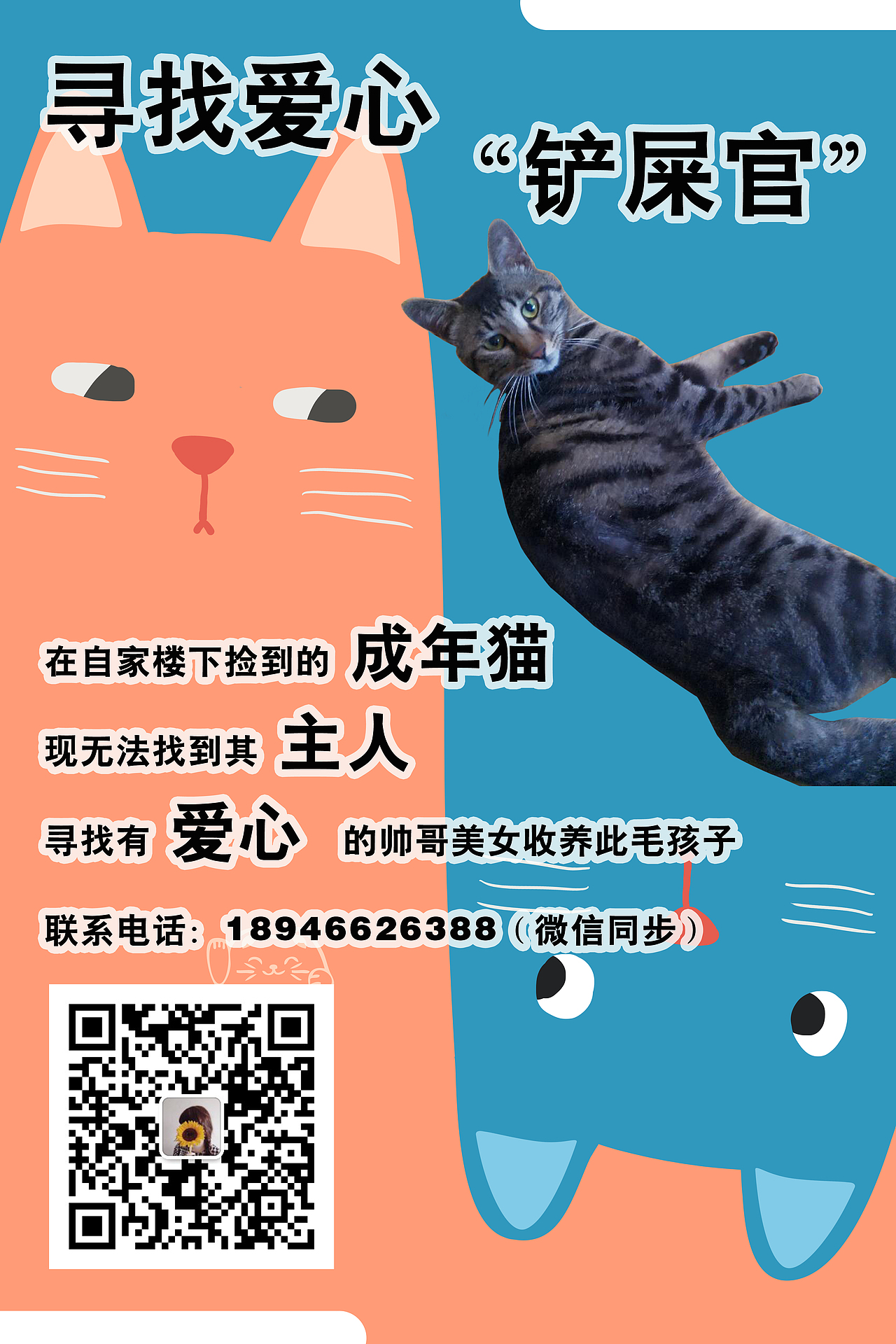 寻找爱心铲屎官（图ZMTY5Nzk0Mzc2） - 海报 - 站酷设计师十八不易原创素材 - 站酷ZCOOL