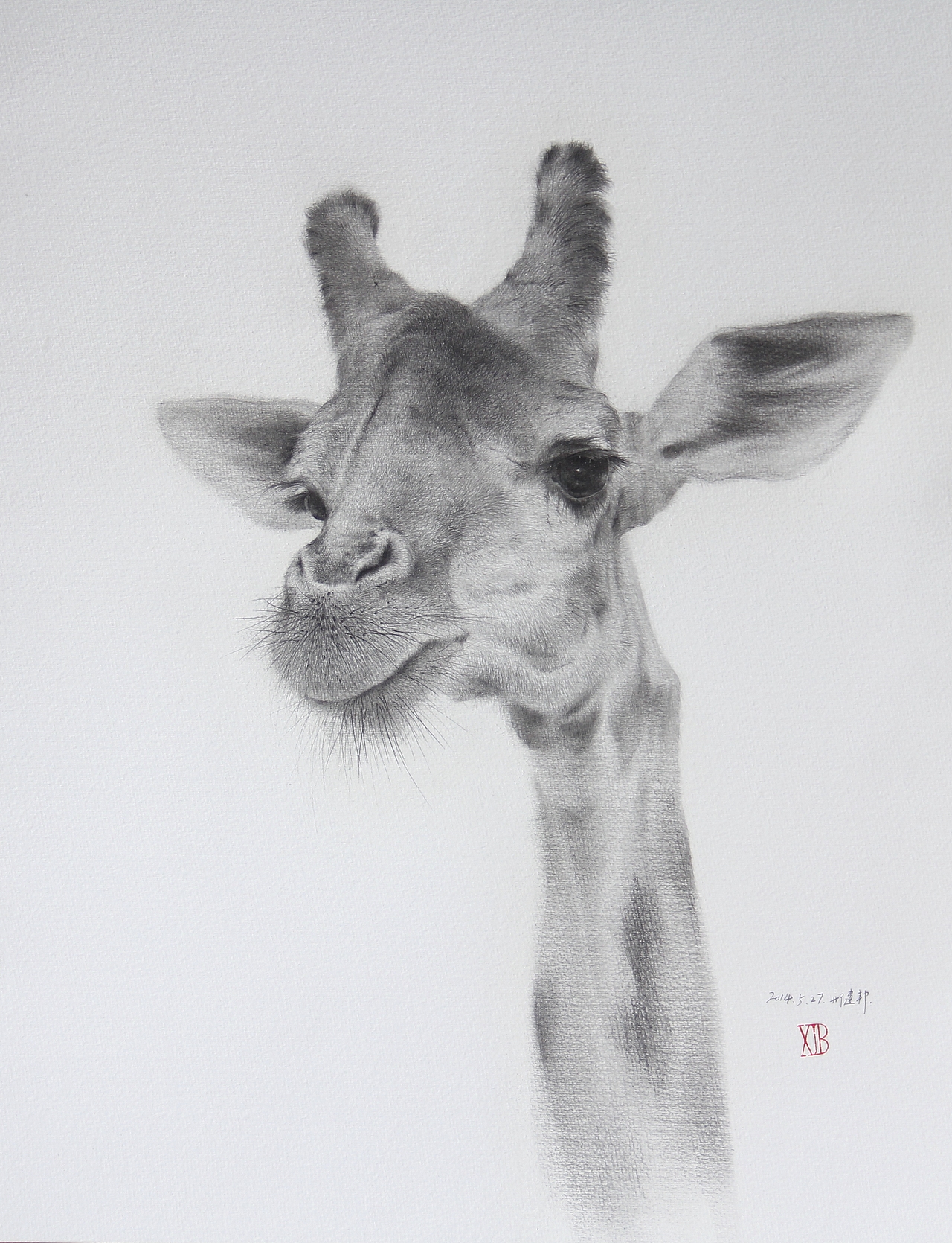 《长颈鹿先生1》