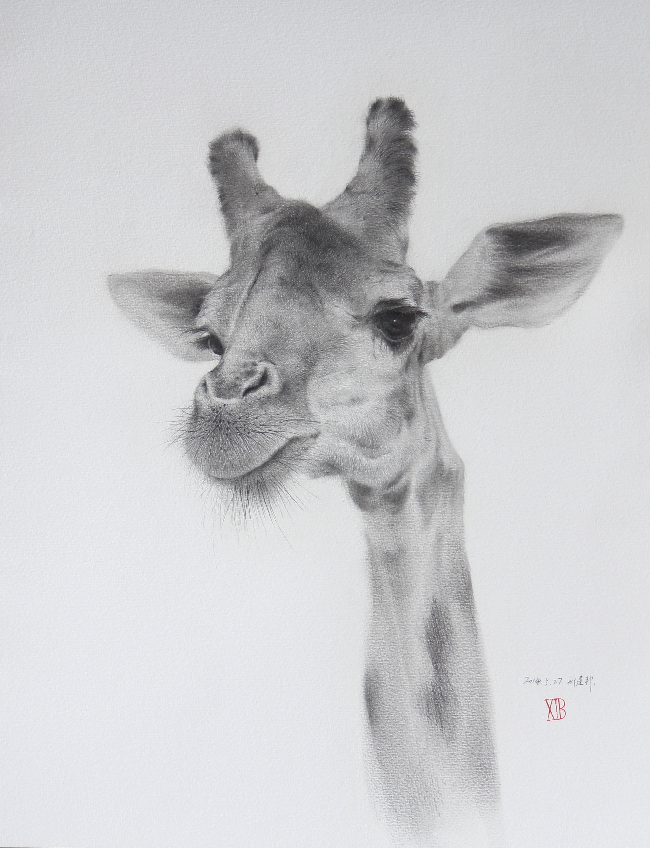 《长颈鹿先生1》