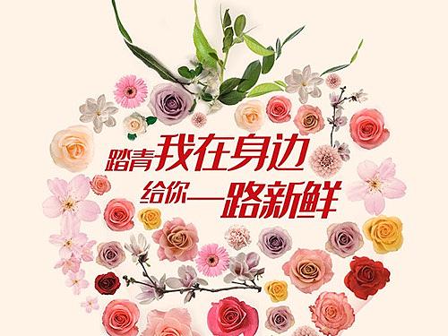 清明节节日海报