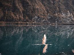 水树