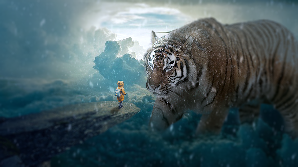 big tiger合成练习（图ZMTMzMjIxMjg4） - 海报 - 站酷设计师Demon默原创素材 - 站酷ZCOOL