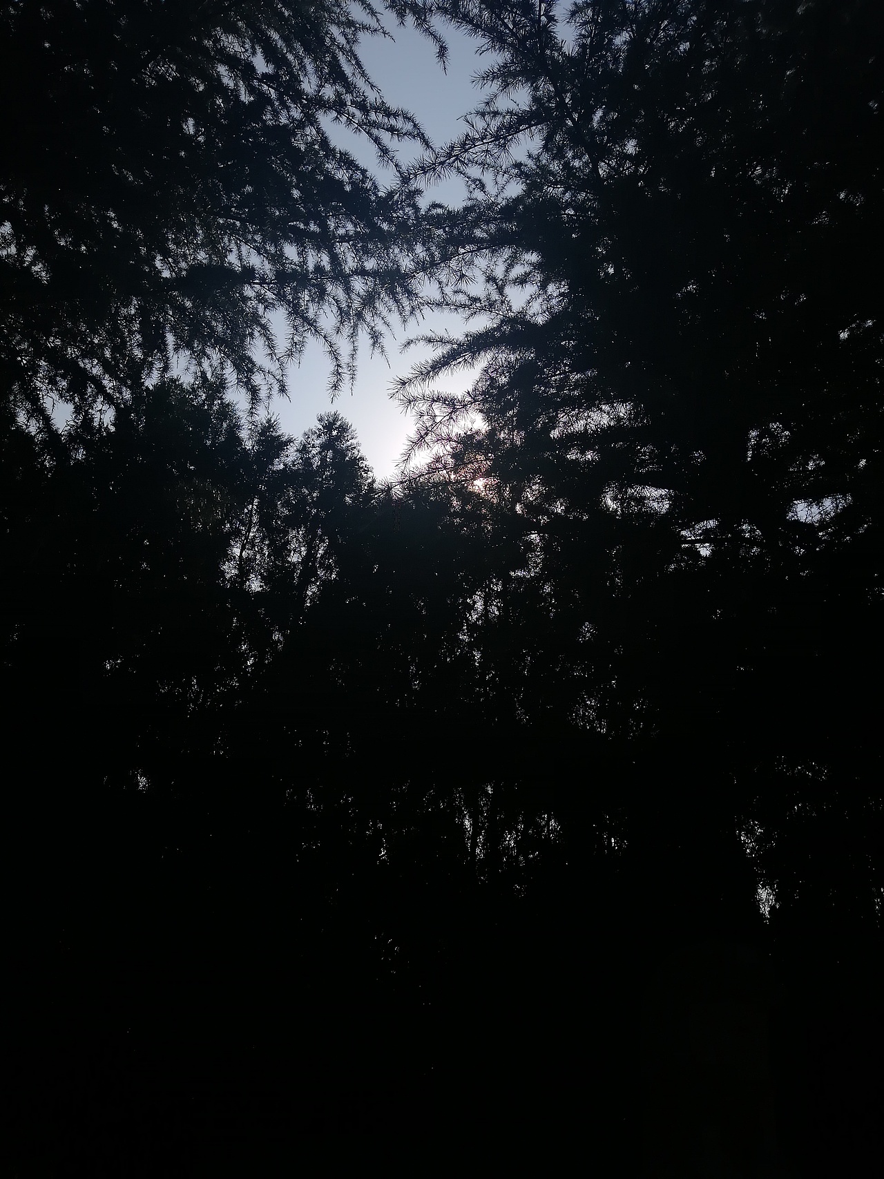 学院+舜帝陵（图ZMTk0NzQ5MjYw） - 风光摄影 - 站酷设计师小辣娜原创素材 - 站酷ZCOOL