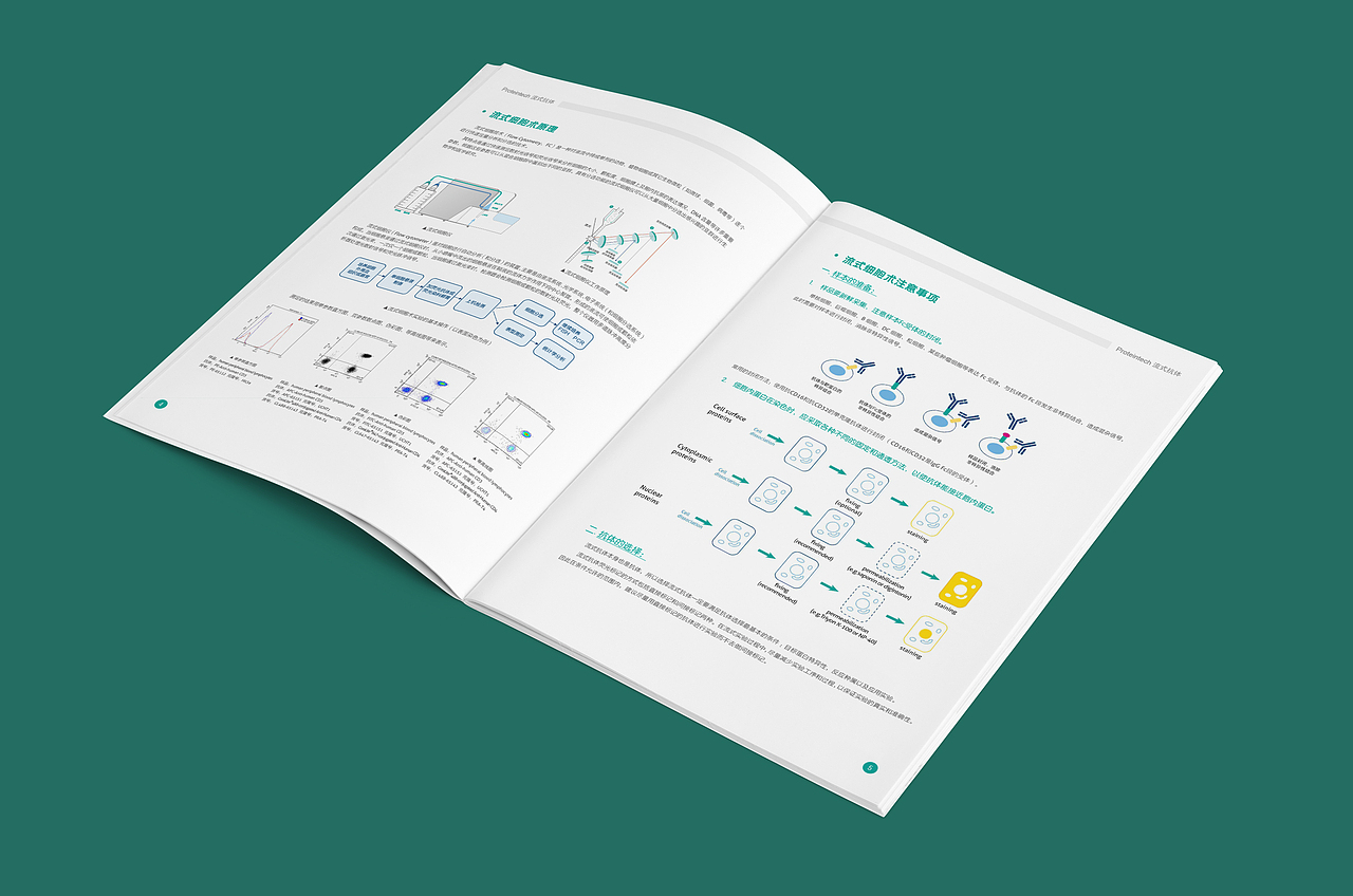 画册（图ZMjIyNTkzMzE2） - 书籍/画册 - 站酷设计师派大星的海秒宝宝原创素材 - 站酷ZCOOL