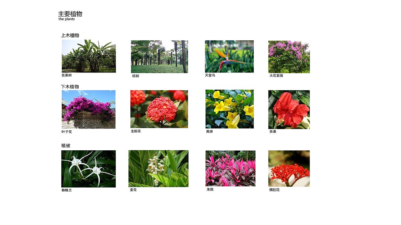 小区规划设计（图ZNTc3Nzc2MjA=） - 景观设计 - 站酷设计师素风千染原创素材 - 站酷ZCOOL