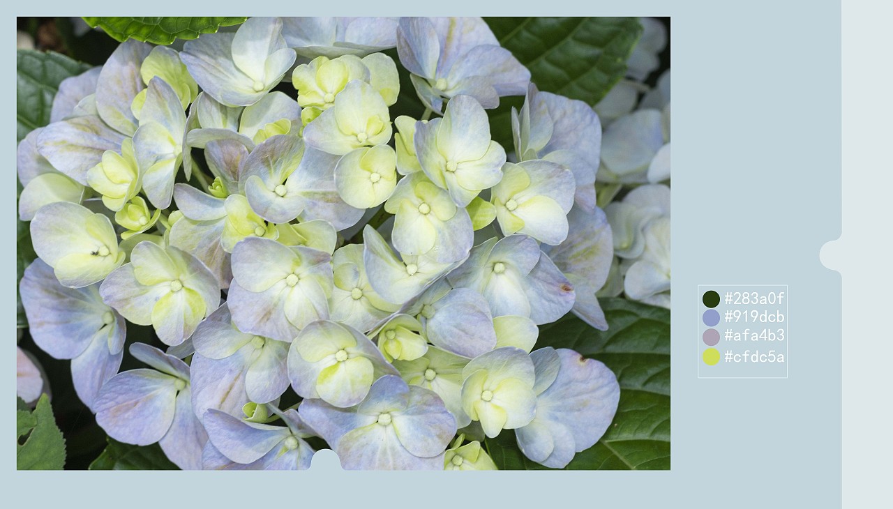 颜色搭配和构图练习（3）（图ZMzY5MzM2MjYw） - 其他摄影 - 站酷设计师小等一下原创素材 - 站酷ZCOOL