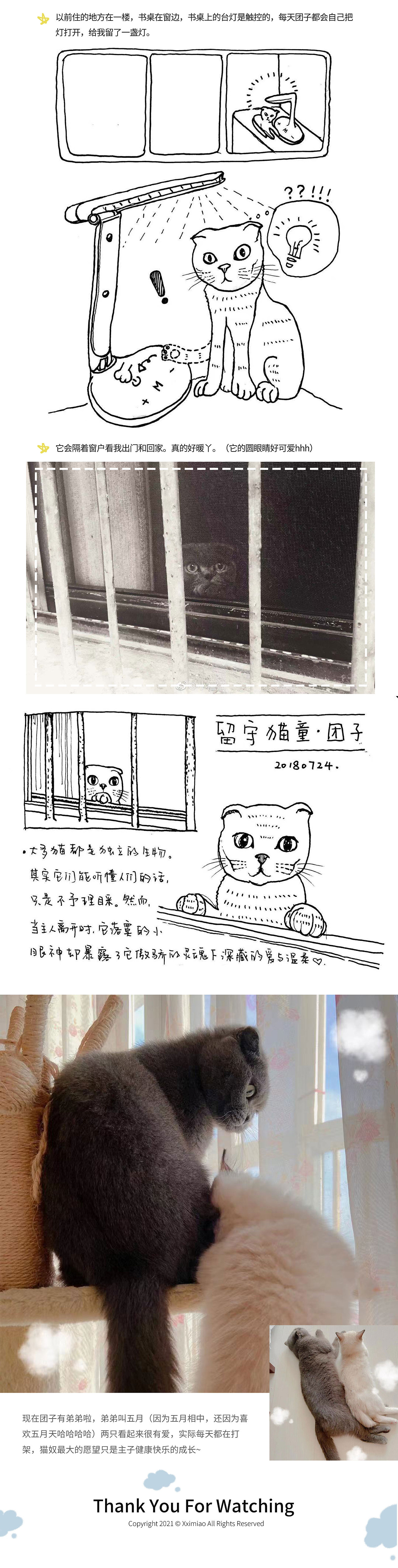 团哥必须拥有姓名（图ZMjY0MTAzNTE2） - 创作习作 - 站酷设计师Xximiao原创素材 - 站酷ZCOOL