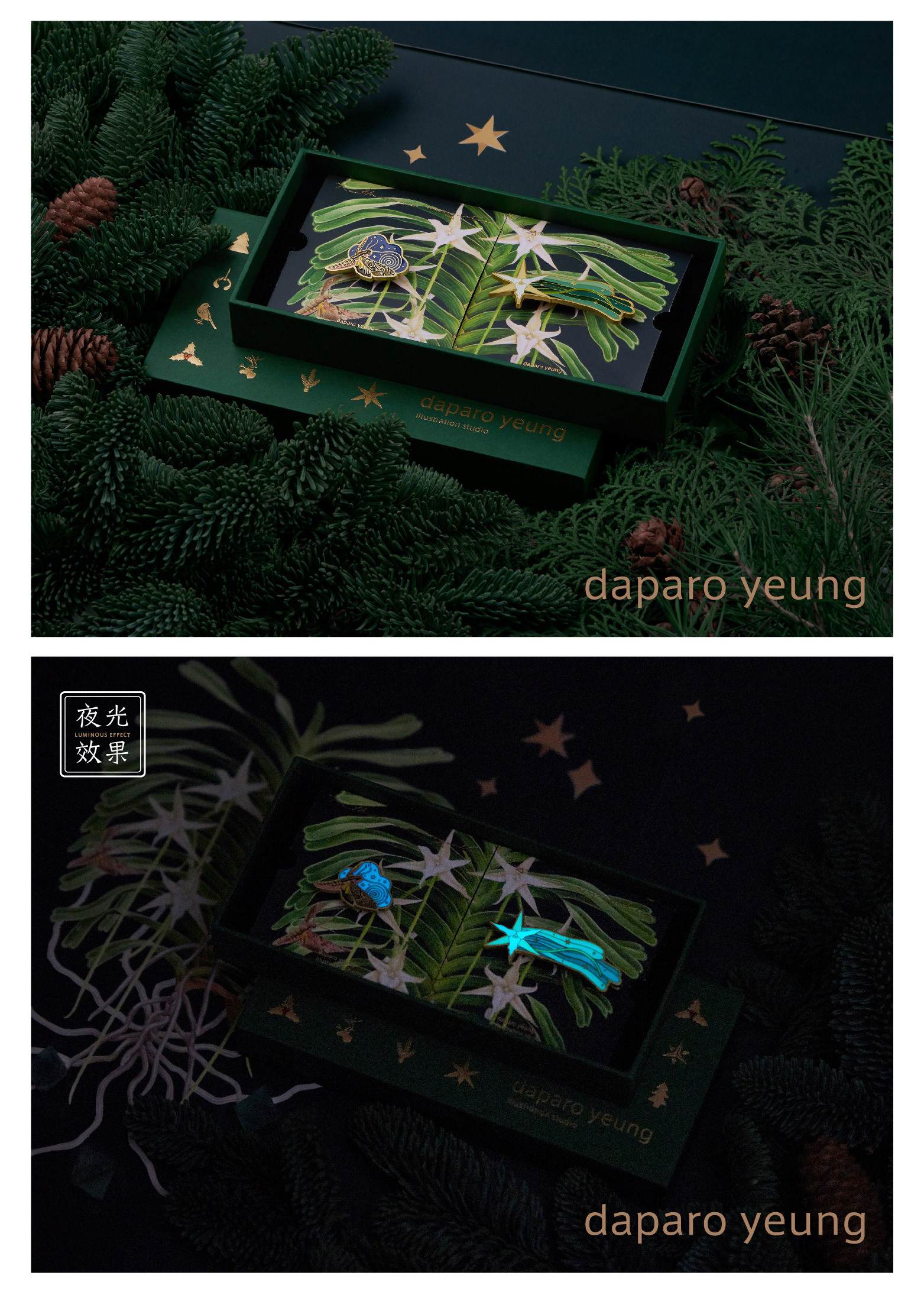 「daparo yeung」大彗星风兰,长喙天蛾胸针设计