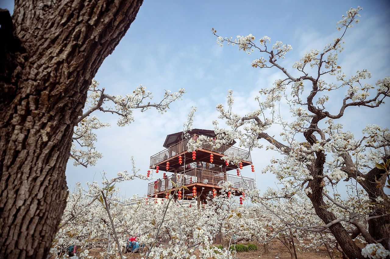 三月二十六日东南温梨园采风