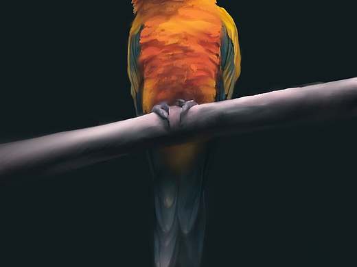 proceate打卡2022.1.3