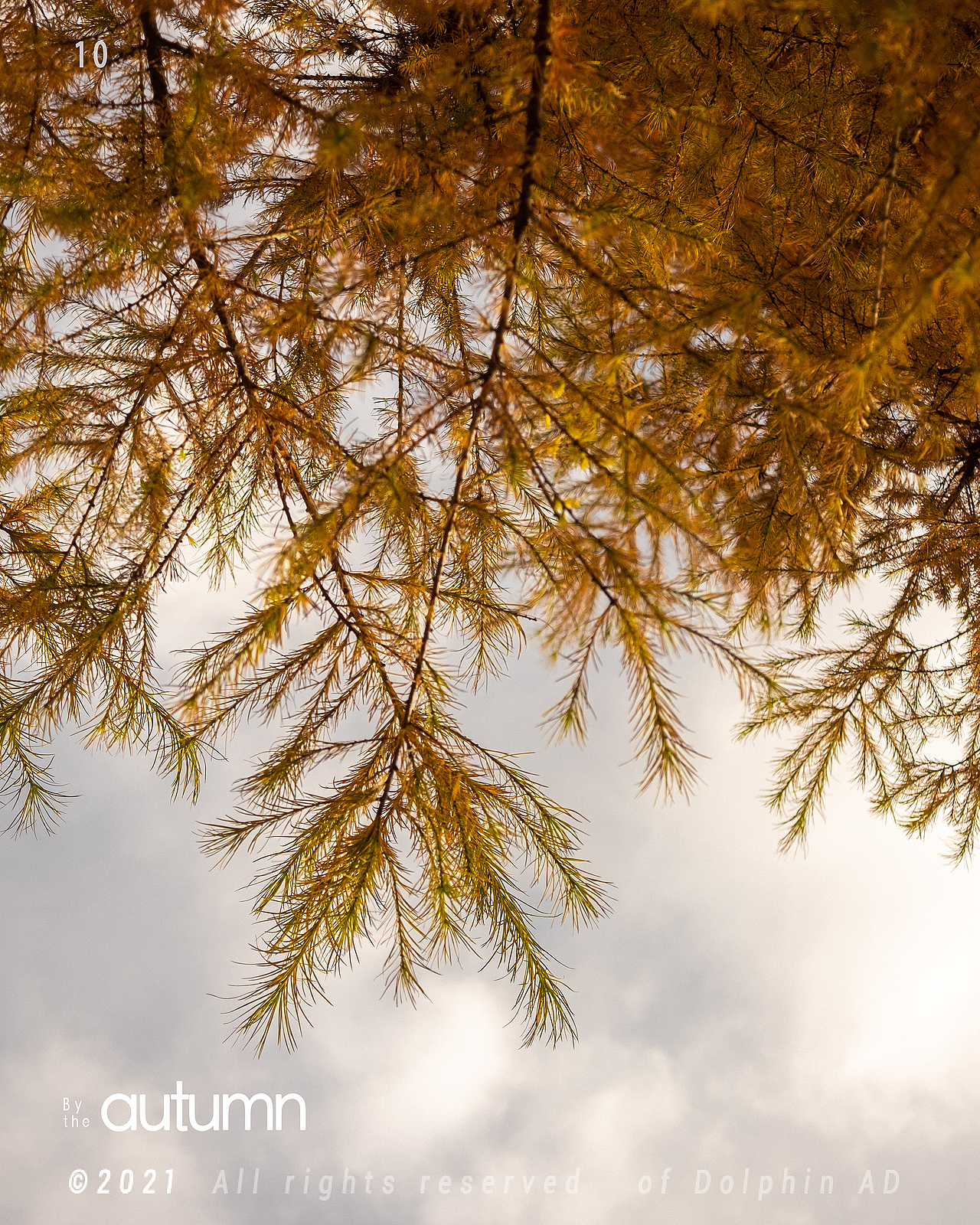 路过秋天/By the autumn（图ZMjc0MjEwNDY4） - 风光摄影 - 站酷设计师一只叫阿德的海豚原创素材 - 站酷ZCOOL