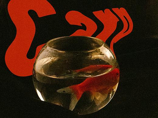 Carp·双鲤（个人主页-ZNDk3NDQyMjQ=） - 人像摄影 - 站酷设计师Franais原创素材 - 站酷ZCOOL