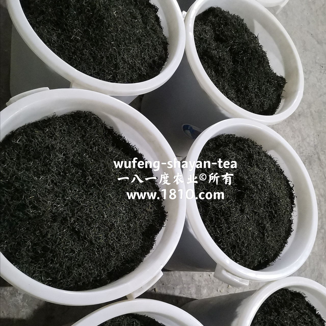 明前采茶拍摄日记（图ZMjU2NzkyNzg4） - 风光摄影 - 站酷设计师食品包装商标原创素材 - 站酷ZCOOL