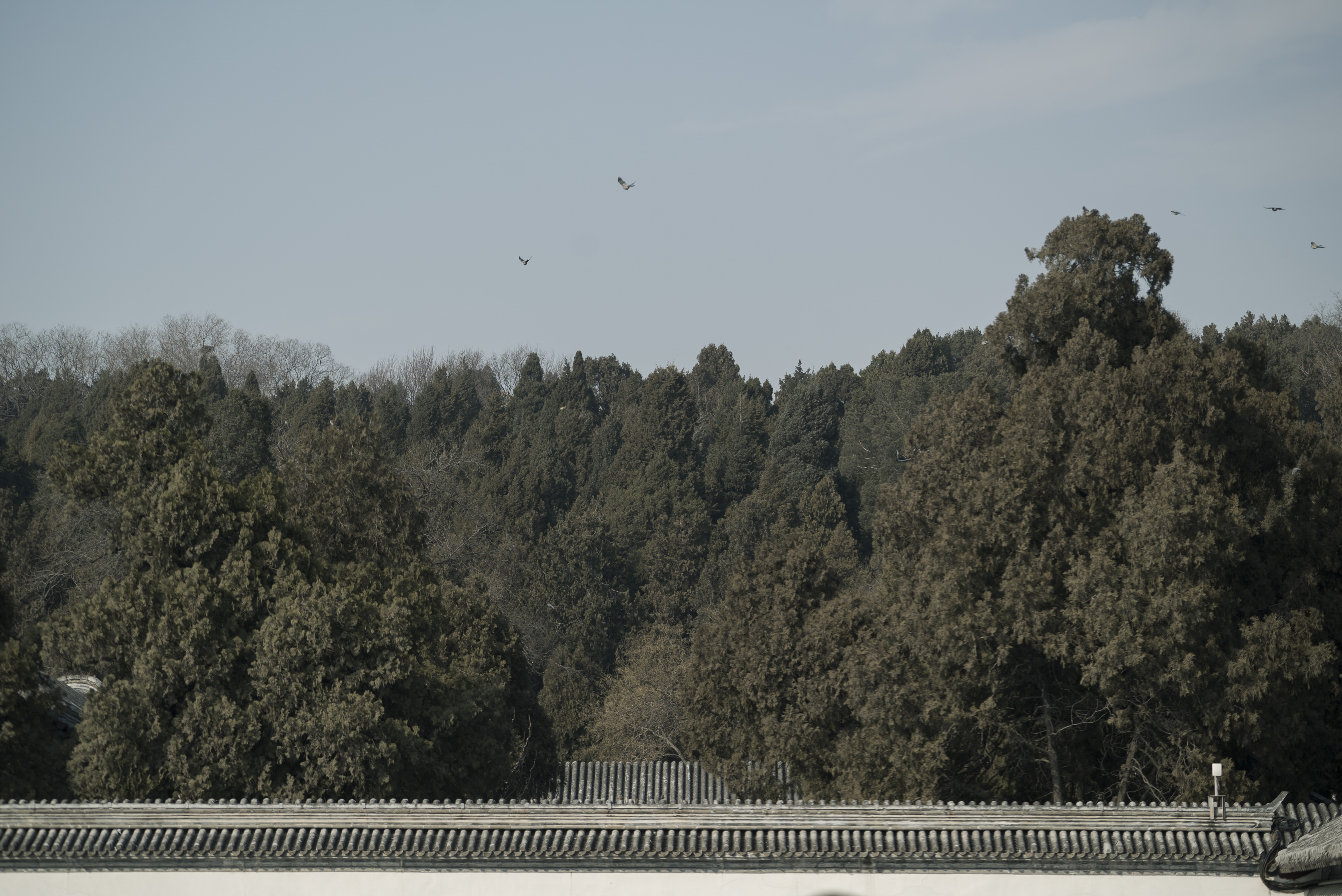 InMotion有像视频的个人主页（封面预览） - 主页封面设置 - 站酷设计师InMotion有像视频原创素材 - 站酷ZCOOL