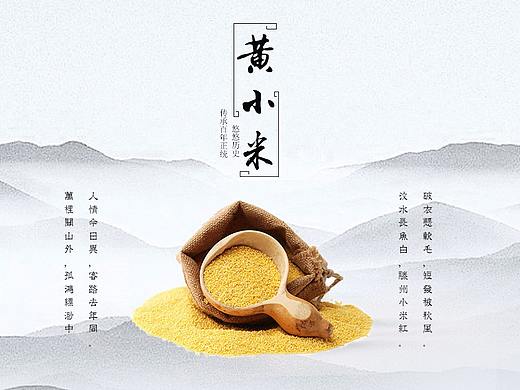 五谷杂粮首页