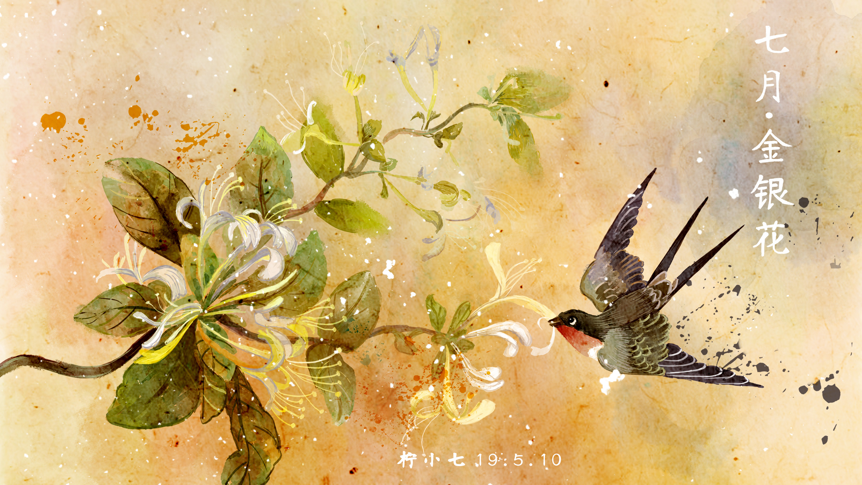 水彩花鸟十二月花信七至十二月|插画|商业插画|柠小七qi - 原创作品