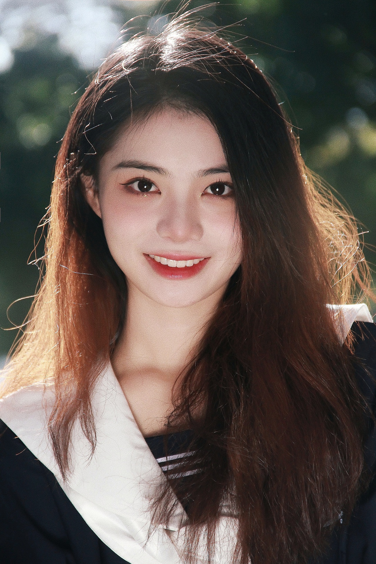 一起去看异木棉!