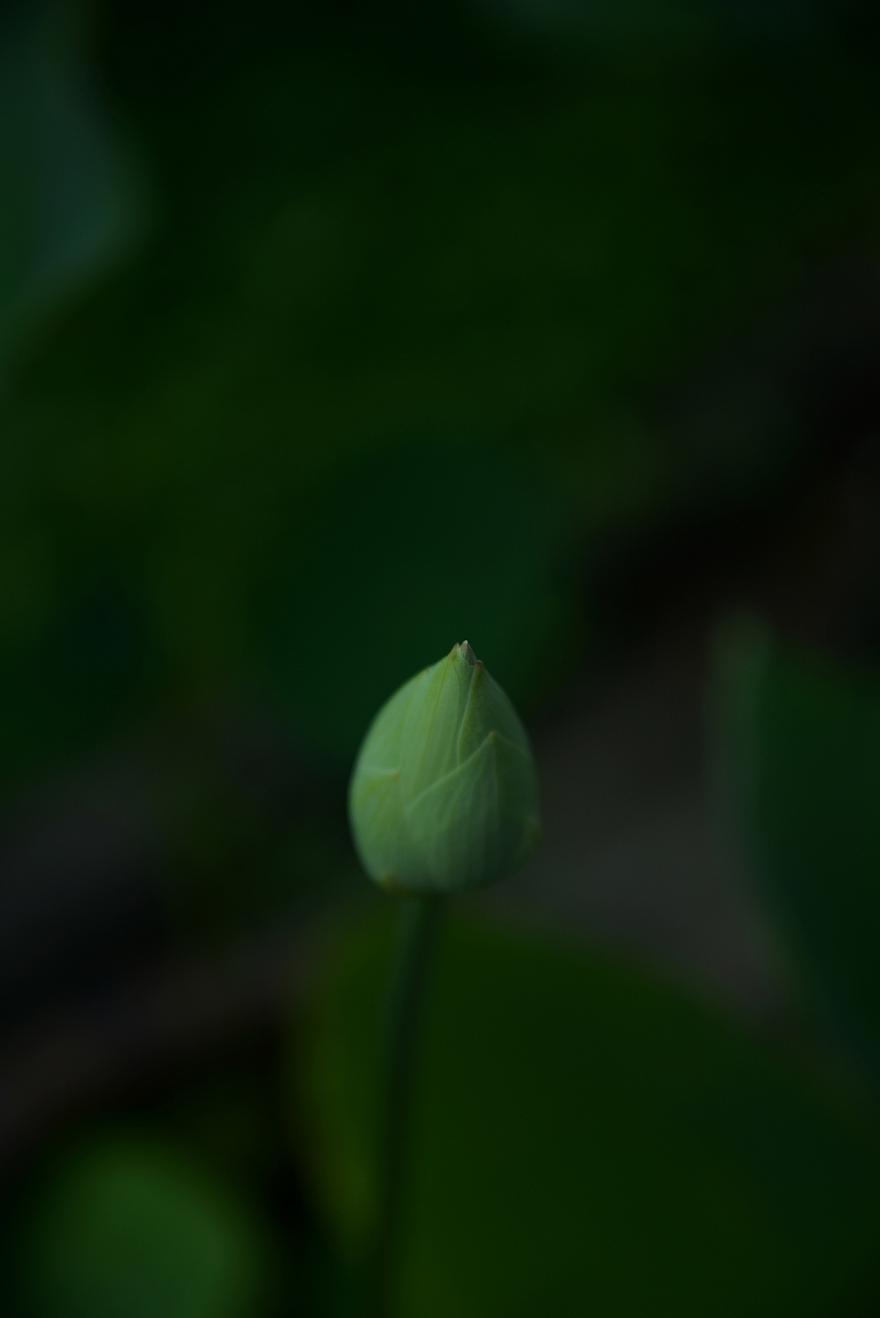 1280_1917竖版 竖屏