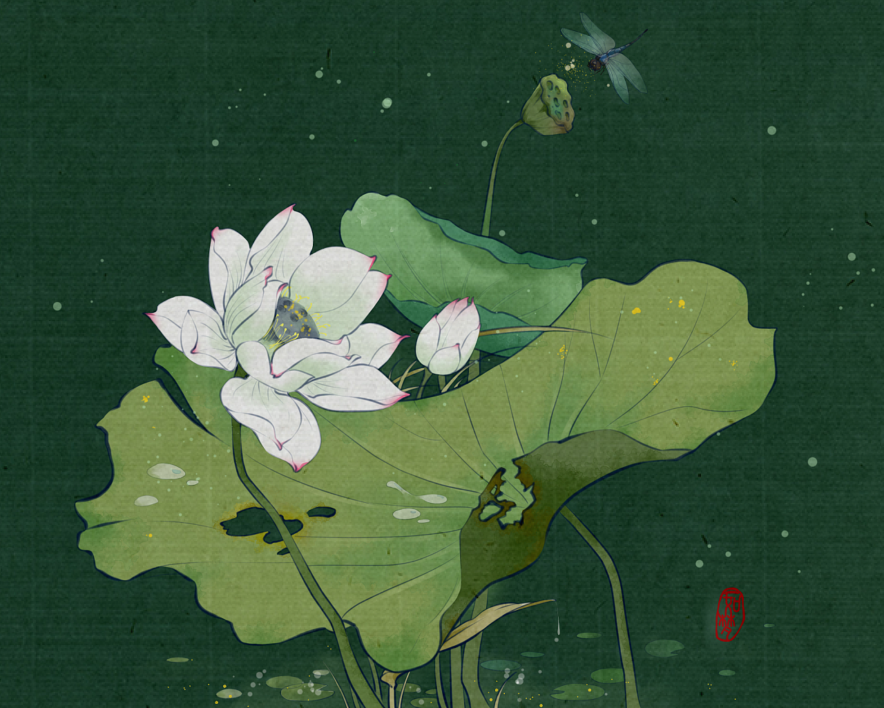 荷- 原创作品 - 站酷(zcool)