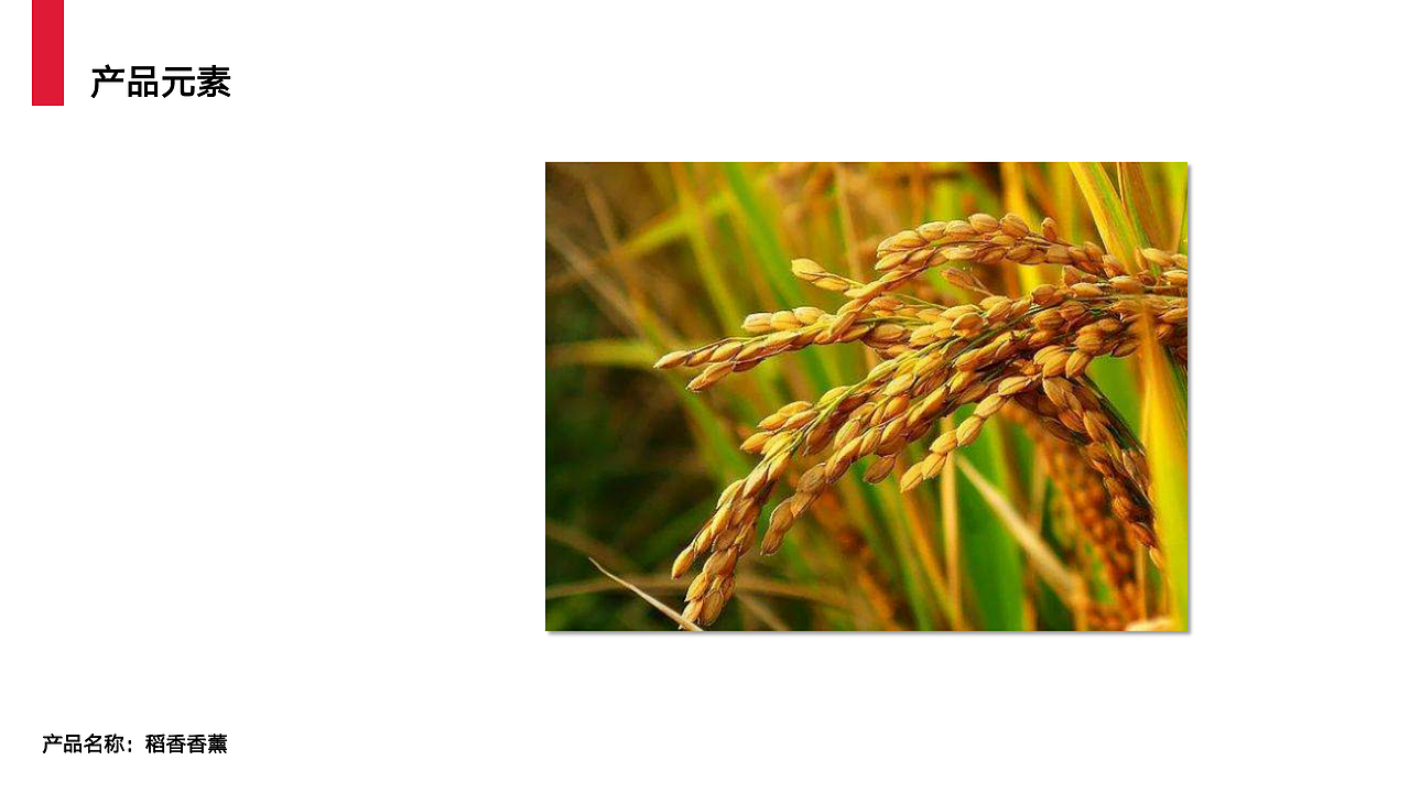 天津西青文创全案分享