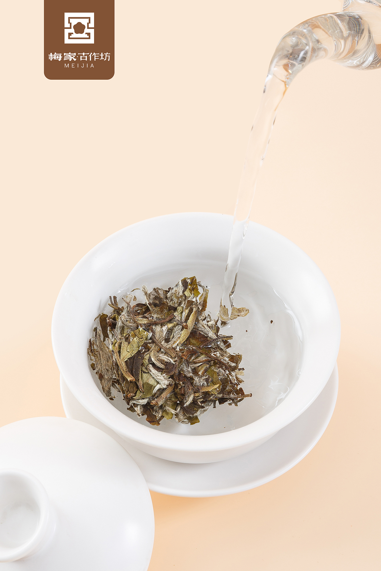 福鼎白茶·茶饼