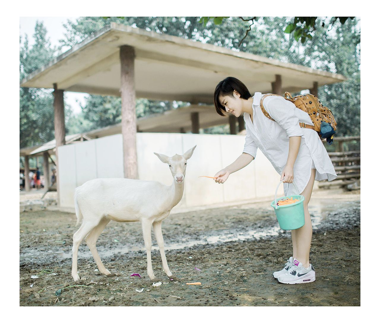 鹿（图ZNjA4MzM5OTI=） - 人像摄影 - 站酷设计师jefflkc原创素材 - 站酷ZCOOL