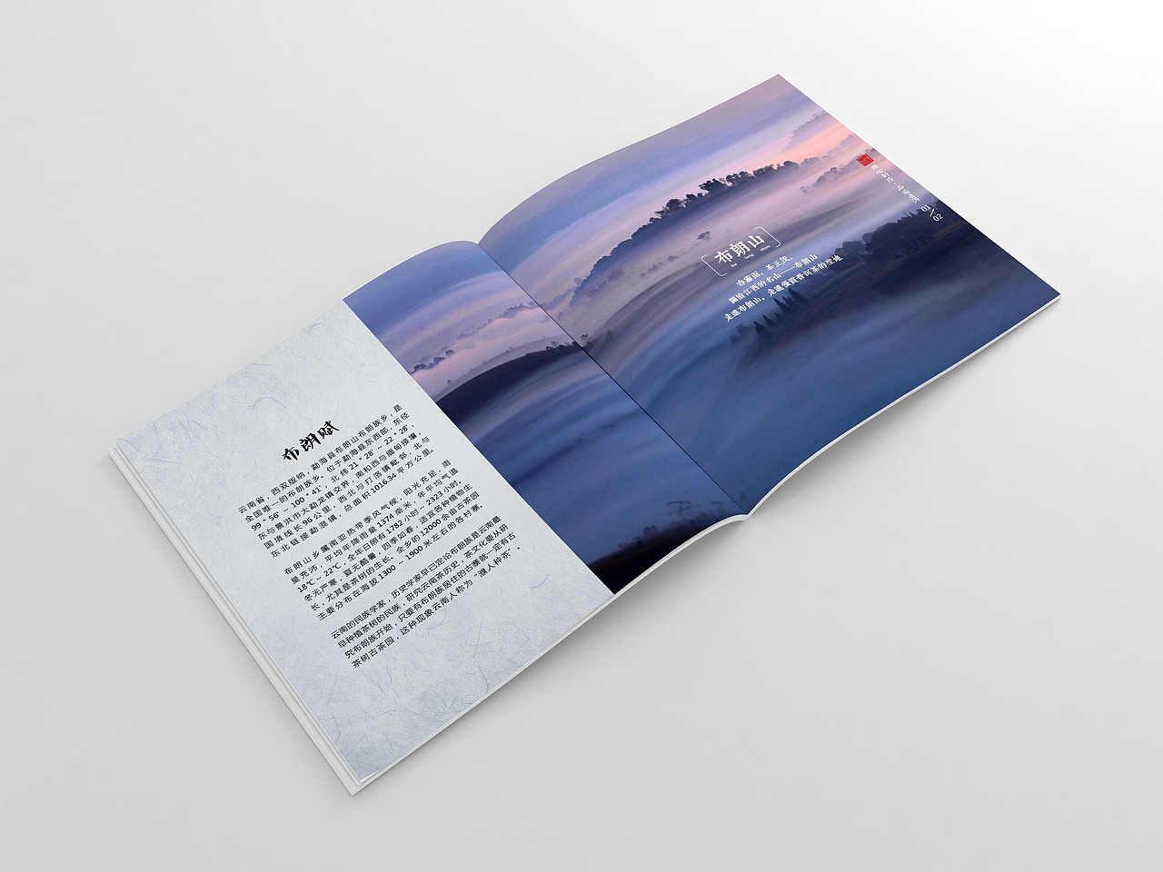 茶叶品牌画册设计