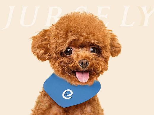 【宠物 | 品牌logo&包装设计】吉尔斯丽