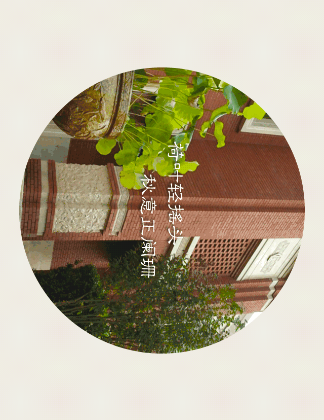 地产项目微信稿（图ZNjU5MDk3NjQ=） - 其他平面 - 站酷设计师crow原创素材 - 站酷ZCOOL