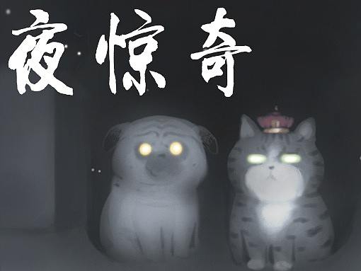 午夜“凶”猫，背后发凉
